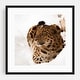 Photography Animals Cat Forest Jaguar Leopard Nature Art Print/Poster ...