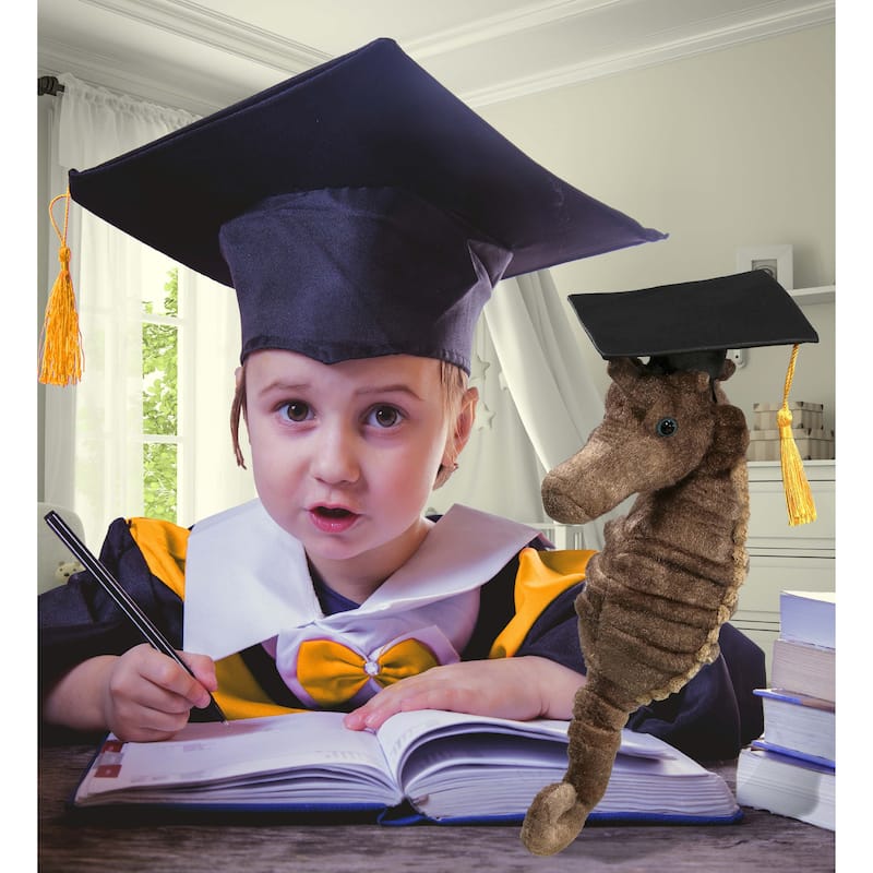 DolliBu Seahorse Graduation Plush Toy with Cap with Tassel Outfit - 12 inches