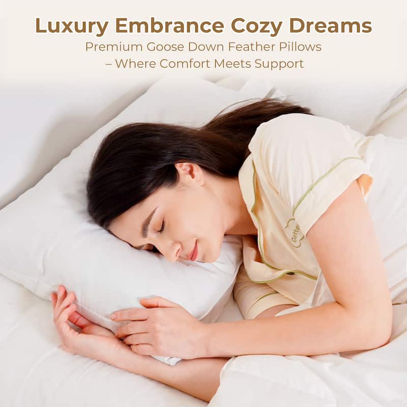 Set of 2 Goose Down Feather Oval Gusset Bed Pillows with 100% Cotton Cover - White