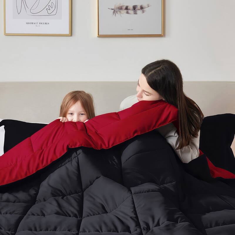 Empyrean All Season Alternative Down Lightweight Reversible Comforter Set