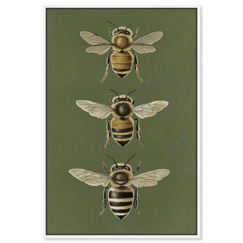 Anatomy of the Bee Canvas by Art Remedy - White - 16" x 24"