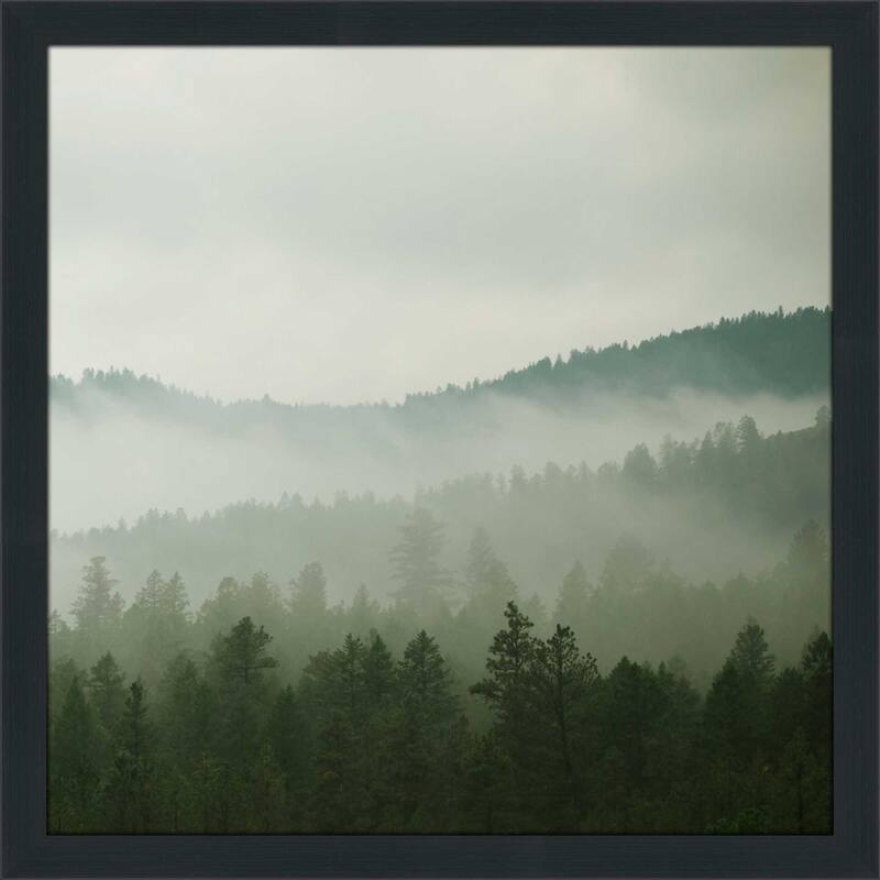 "Verdant Country II" by Carol Robinson Print on Acrylic