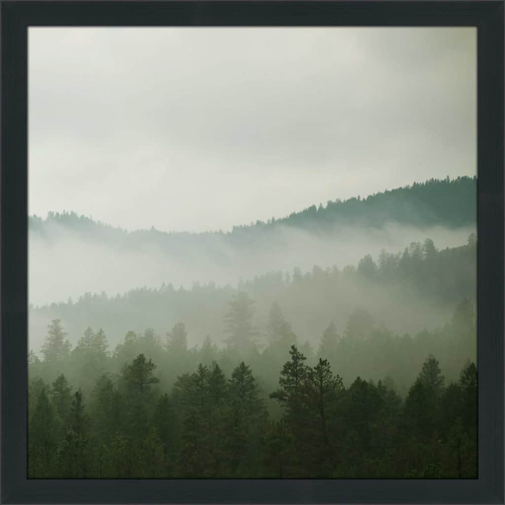 "Verdant Country II" by Carol Robinson Print on Acrylic