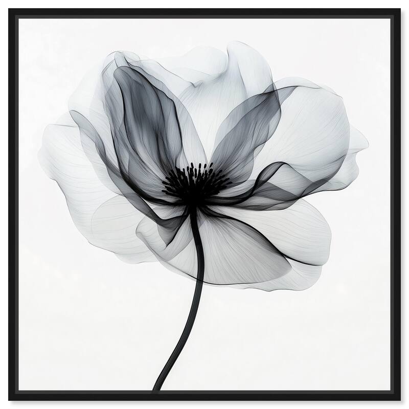 Midania I Canvas by Art Remedy - Black - 40" x 40"