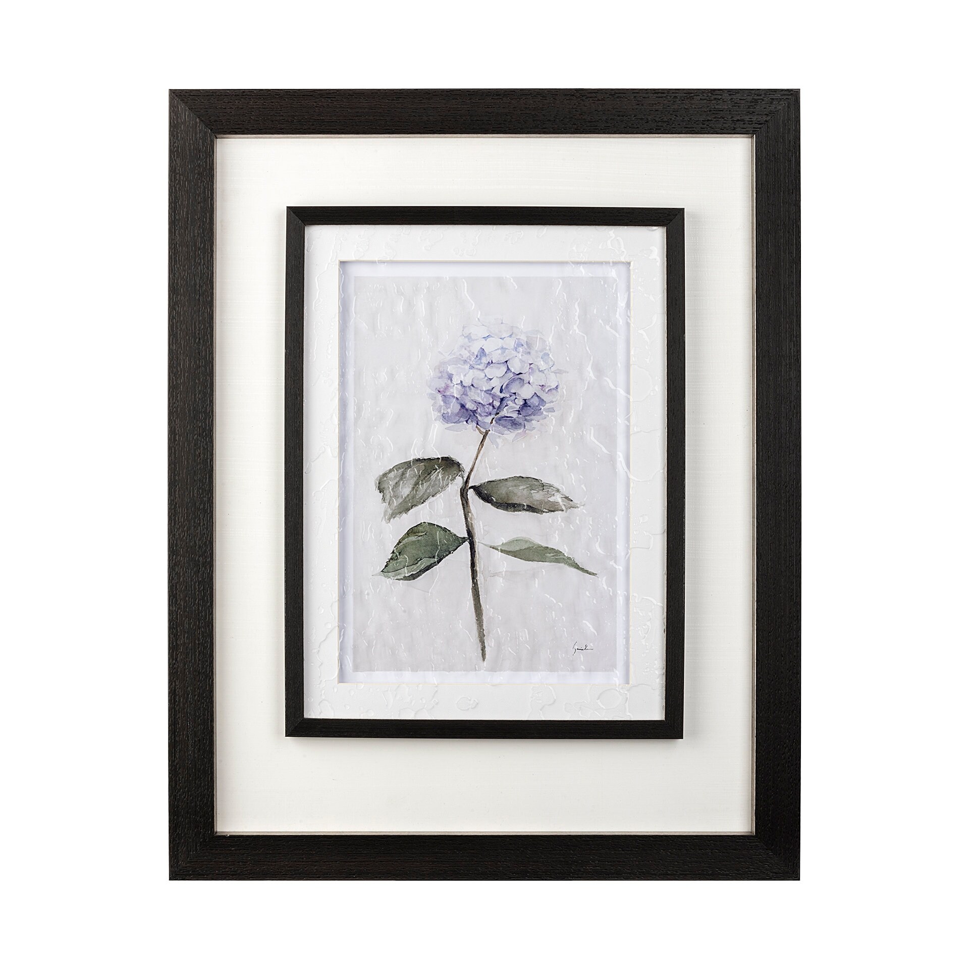 Mercana Hydrangea I Framed Art Print