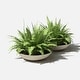 preview thumbnail 109 of 110, Mason Series Lane Bowl Planter
