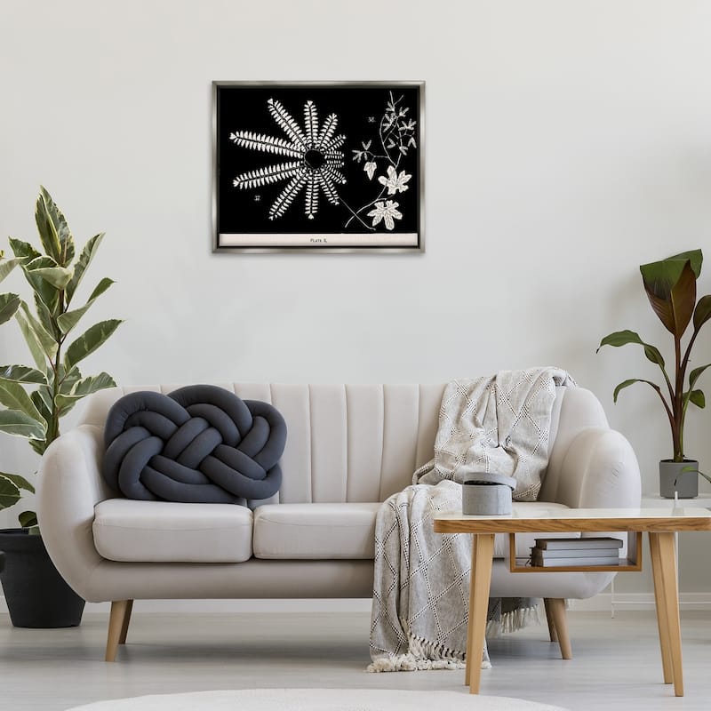Stupell Ferns & Leaves on Black Framed Floater Canvas Wall Art Design By Phillipa Katz
