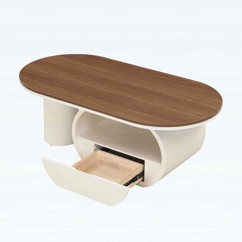 Modern Oval Coffee Table with Storage,Metal Frame for Elegant Living Room Decor