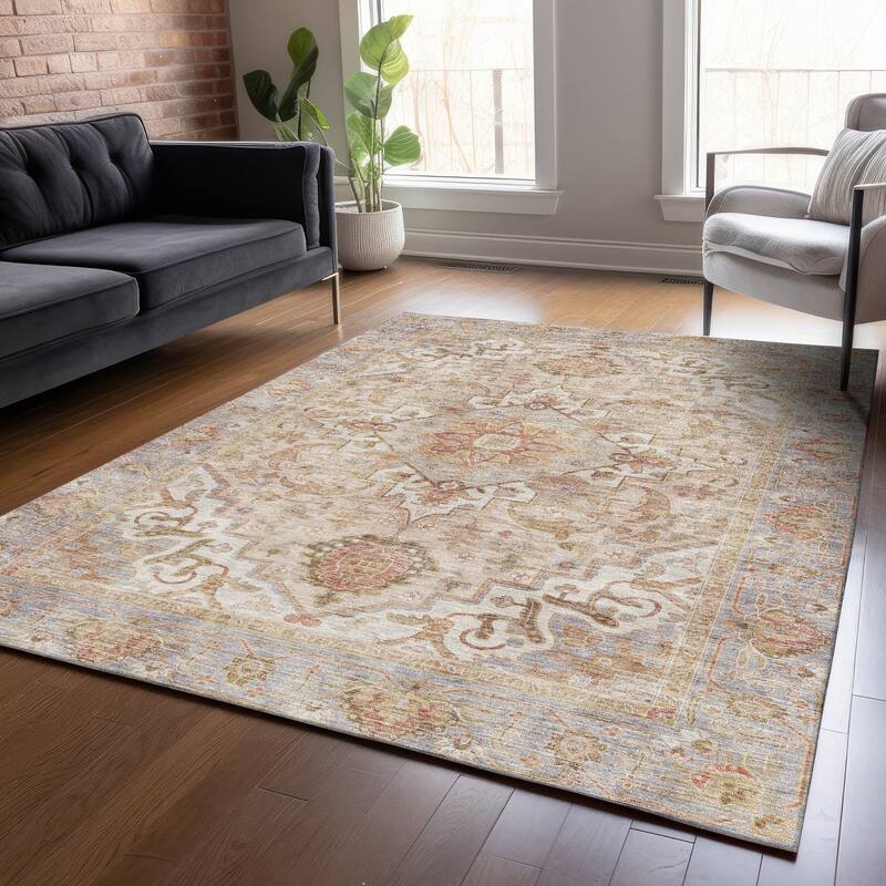 Machine Washable Indoor/Outdoor Traditional Vintage Chantille Rug