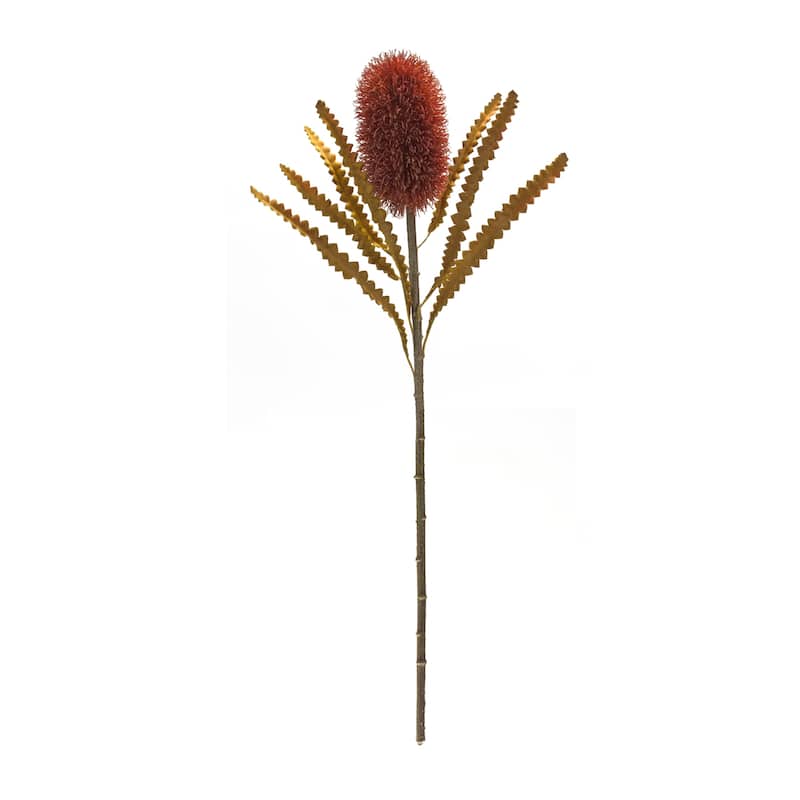 Banksia Stem (Set of 6) - 11 x 11 x 24