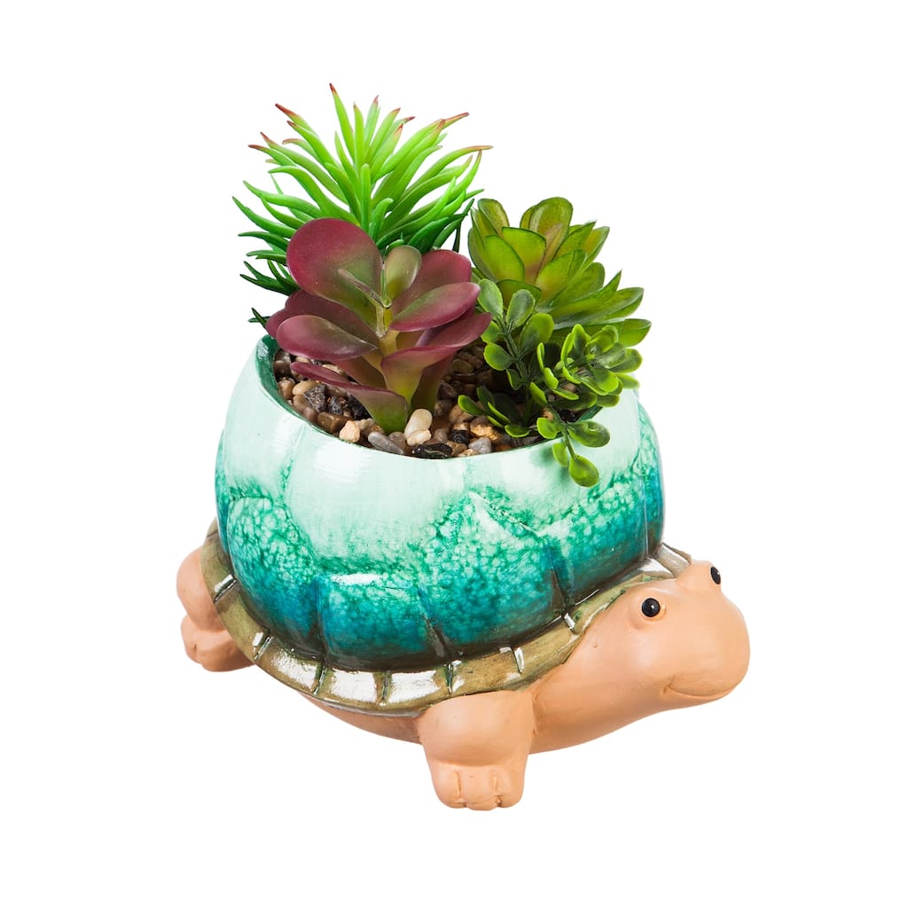 Ceramic Turtle Planter with Succulent