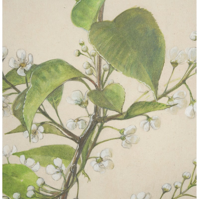 Botanical Study-Prunus Padus