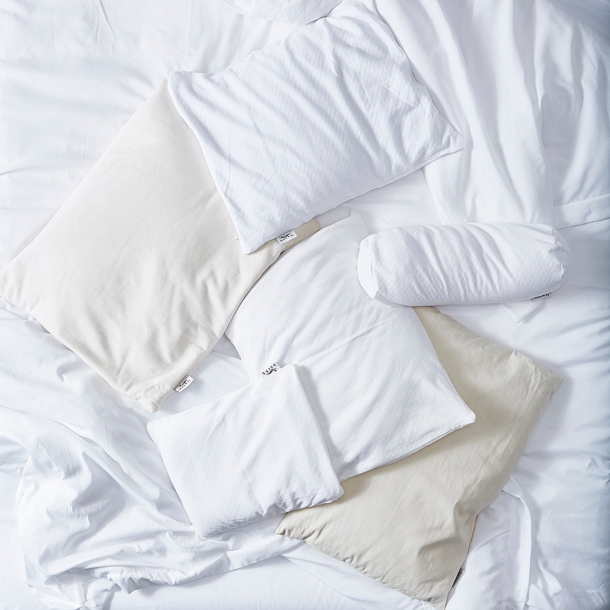 Bucky Duo Pillow Case White