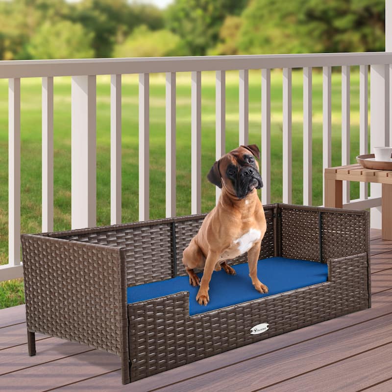 Moasis Elevated Rattan Dog Sofa with Cusion