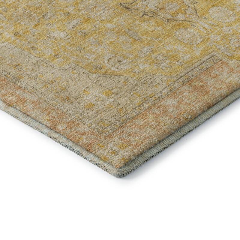 Premium Washable Super Soft Vintage Traditional Mayfield Rug