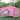 Pink Finish Flat roof outdoor canopy Tent with silver-coated four pieces of cloth - 118.11" x 118.11"x 98.43"