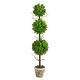 preview thumbnail 1 of 1, 3' Eucalyptus Triple Ball Topiary Artificial Tree - 6"