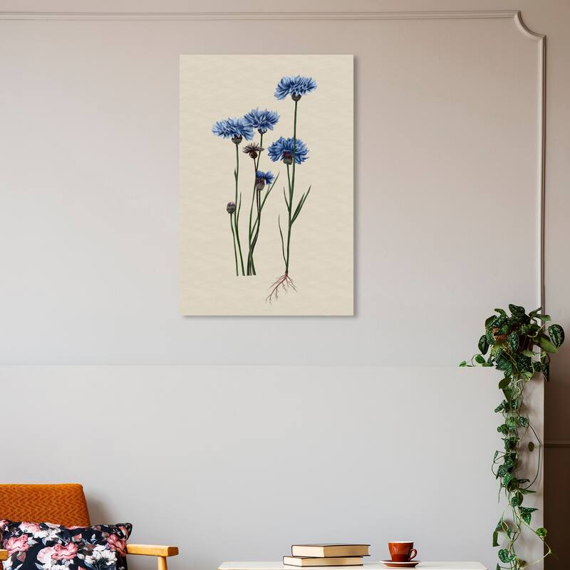 Wynwood Studio Canvas Floral and Botanical Flower Illustration Blue and Farmhouse Wall Art Canvas Print - 30 x 20