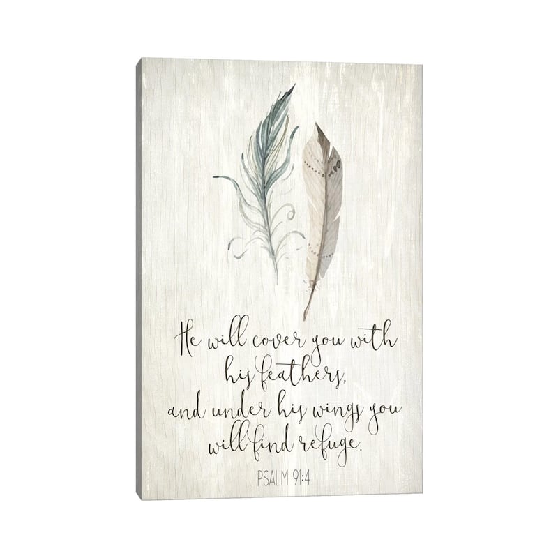 iCanvas "His Feathers I" by Kimberly Allen Canvas Print