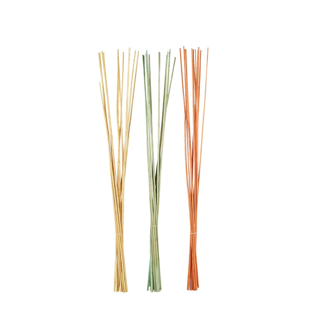 Dried Plant Pigeon pea Natural Foliage - Set of 3 Multi Colored - Roche River Decor - Multi Colored