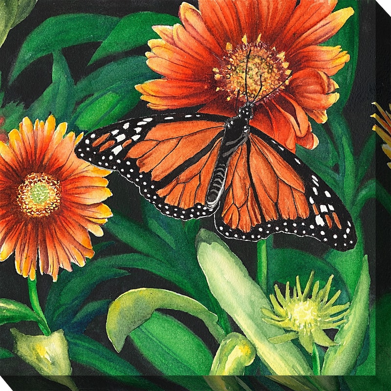Monarch Outdoor Art 24x24