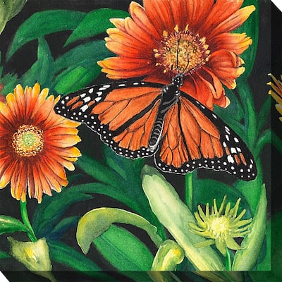 Monarch Outdoor Art 24x24
