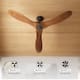 60" Walnut 3-Blades Wood Ceiling Fan with Remote Control - N/A