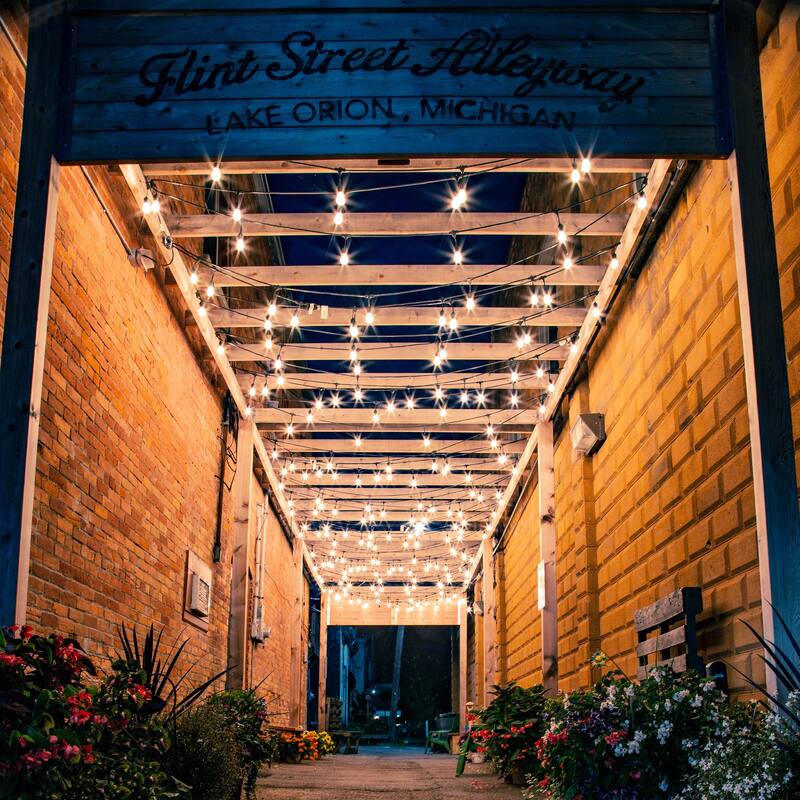 Edison Glass Indoor Outdoor Patio Light Set - Clear - 9' Green Wire - 10ct