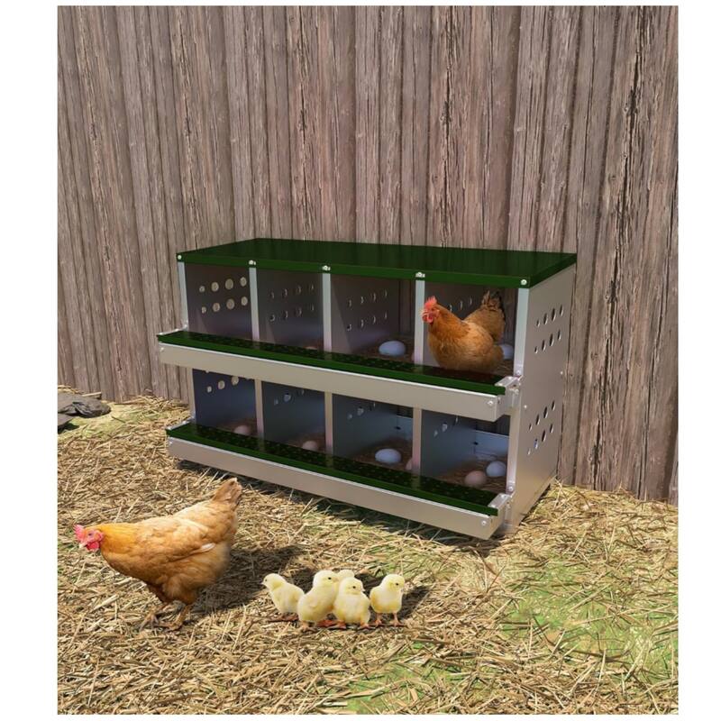 8-Compartment Chicken Nest Box with Egg Collection Tray and 8 Fake Training Eggs Red - Green