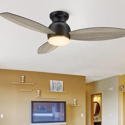 CARRO Reed 48" Indoor Ceiling Fan with LED Light and Remote