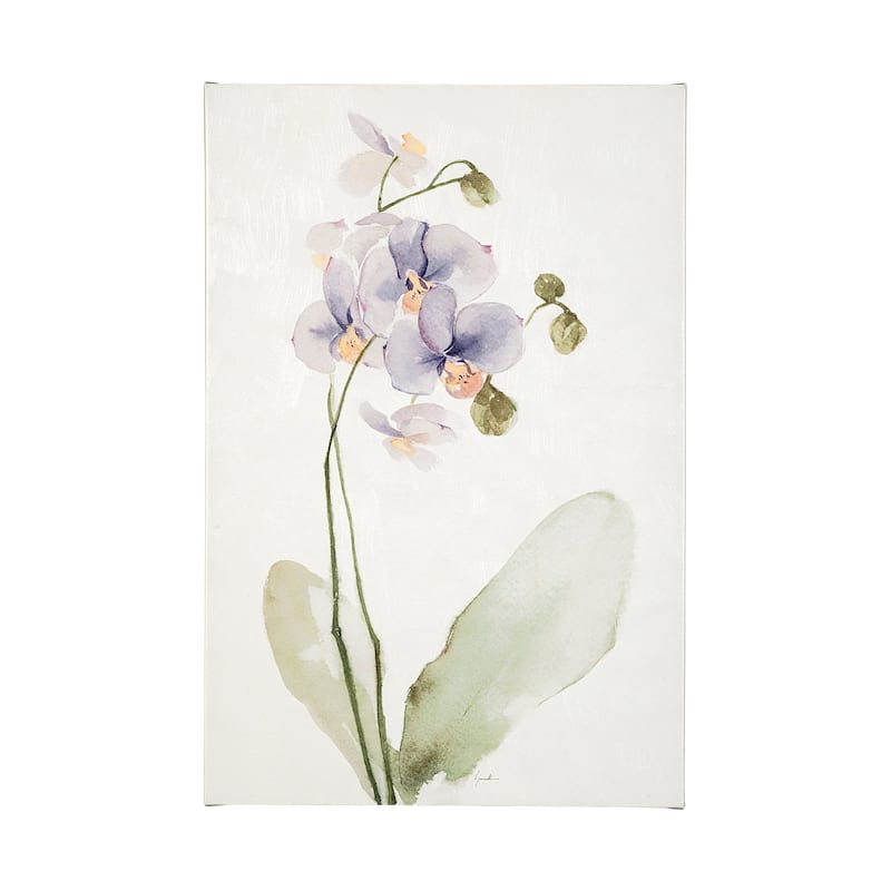 Orchid I (30 x 45) Canvas Art Print - Large