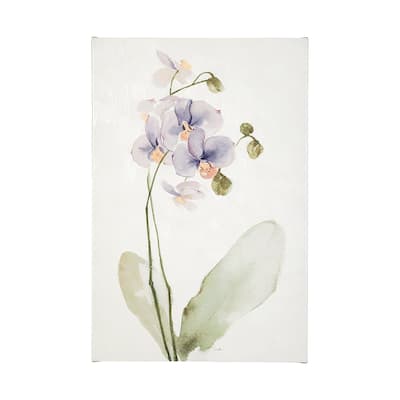 Orchid I (30 x 45) Canvas Art Print