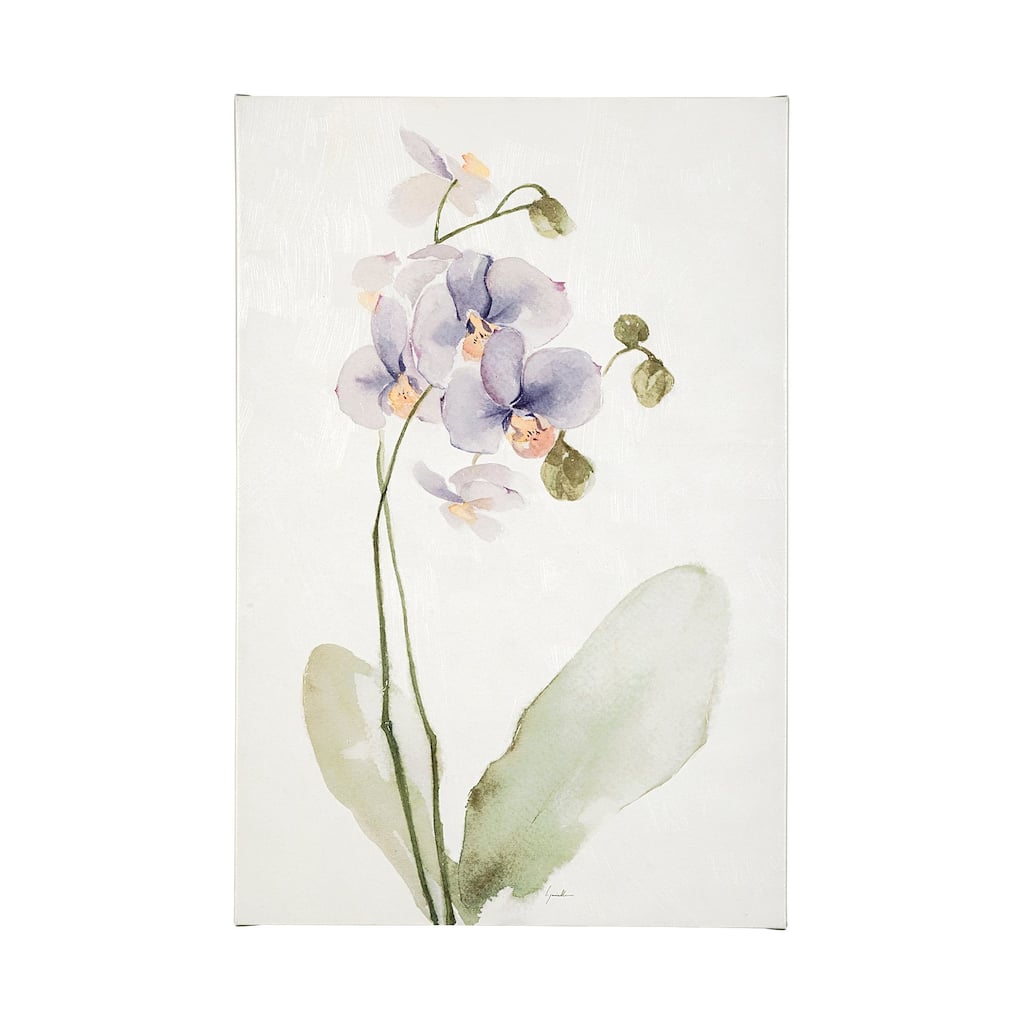Orchid I (30 x 45) Canvas Art Print
