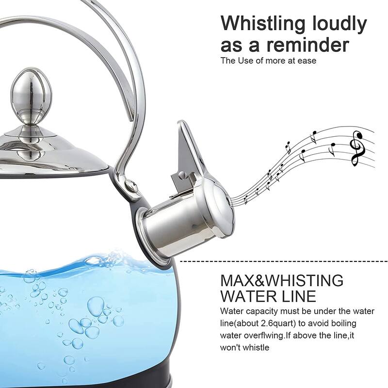 Creative Home 2.5 Qt. Stainless Steel Whistling Tea Kettle, Opaque Black - 2.5 Quarts