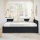 Option Black