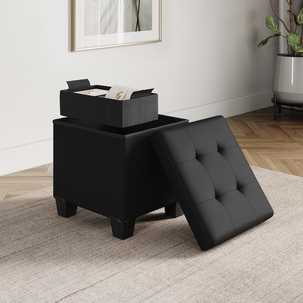 Empyrean Tuffted Folding Foot Rest Storage Ottoman Bench with Storage Bins