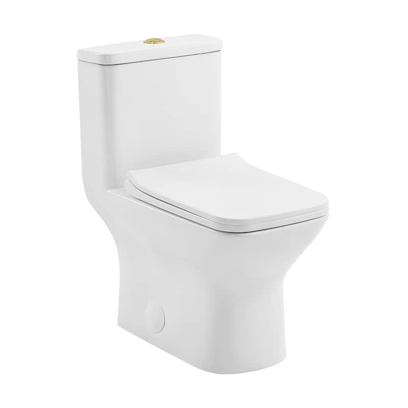 Charme One Piece Square Toilet Dual Flush, Brushed Gold Hardware 1.1/1.6 Gpf - 25.8" x 14.95" 29.95"