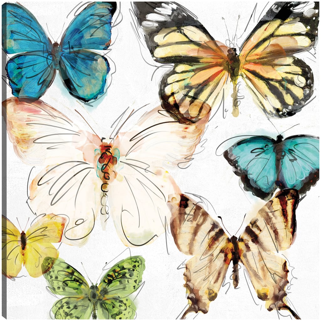 Les Papillons II By Studio Arts Canvas Art Print
