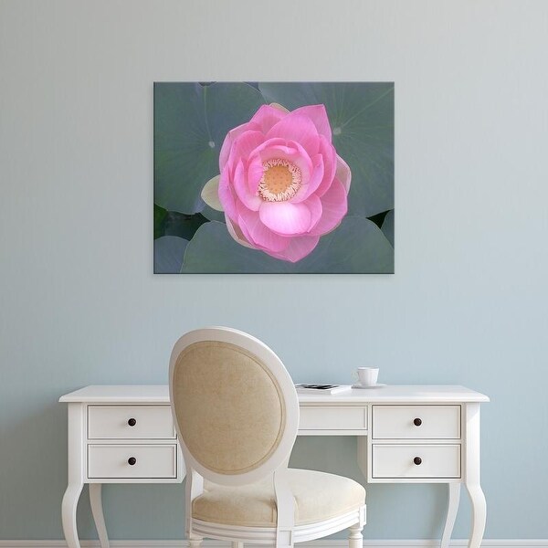Easy Art Prints Jim Christensen's 'Blushing Lotus I' Premium Canvas Art