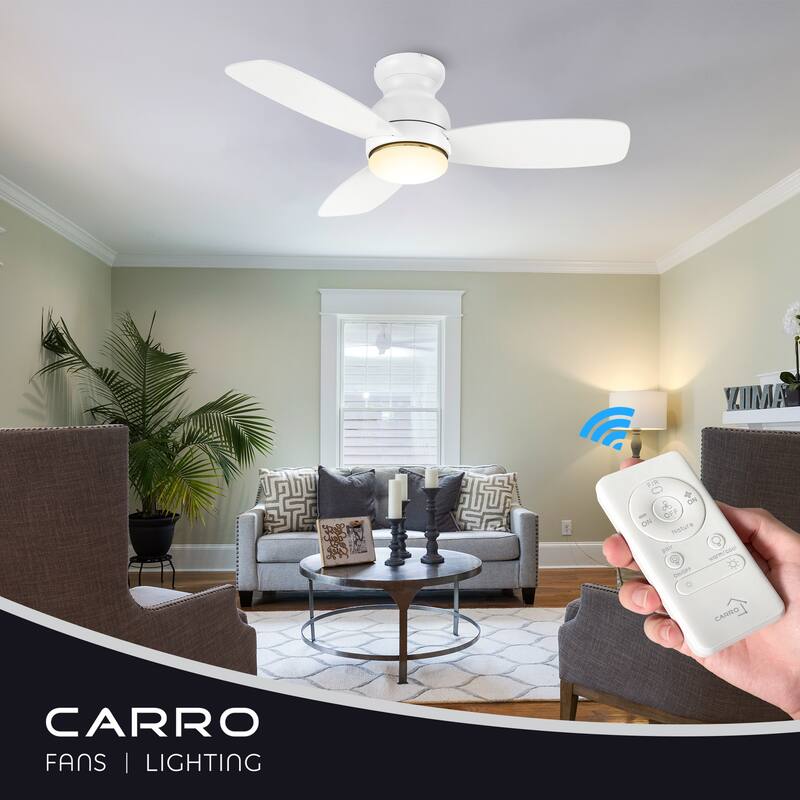 CARRO Reed 44" Indoor Ceiling Fan with Light and Remote - N/A
