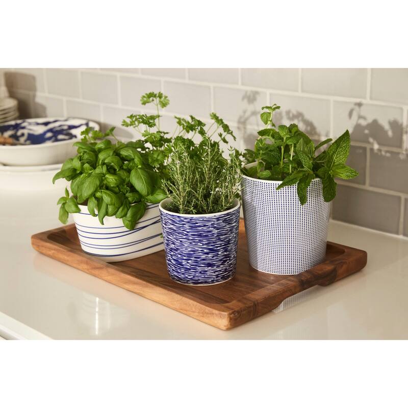 1815 Pacific Large Planter 4.84" Blue - 4.84 x 5.04"