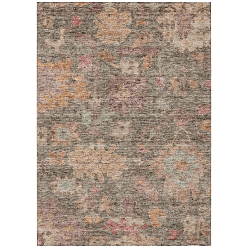 Machine Washable Indoor/ Outdoor Vintage Traditional Chantille Rug