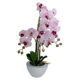 Real Touch™️ Pink and White Artificial Orchid Plant In a White Pot 21 ...