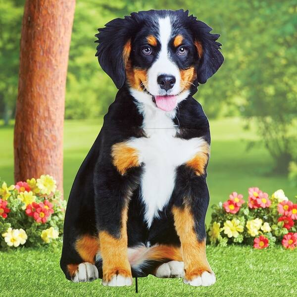Realistic Bernese Mountain Dog Outdoor Garden Stake x