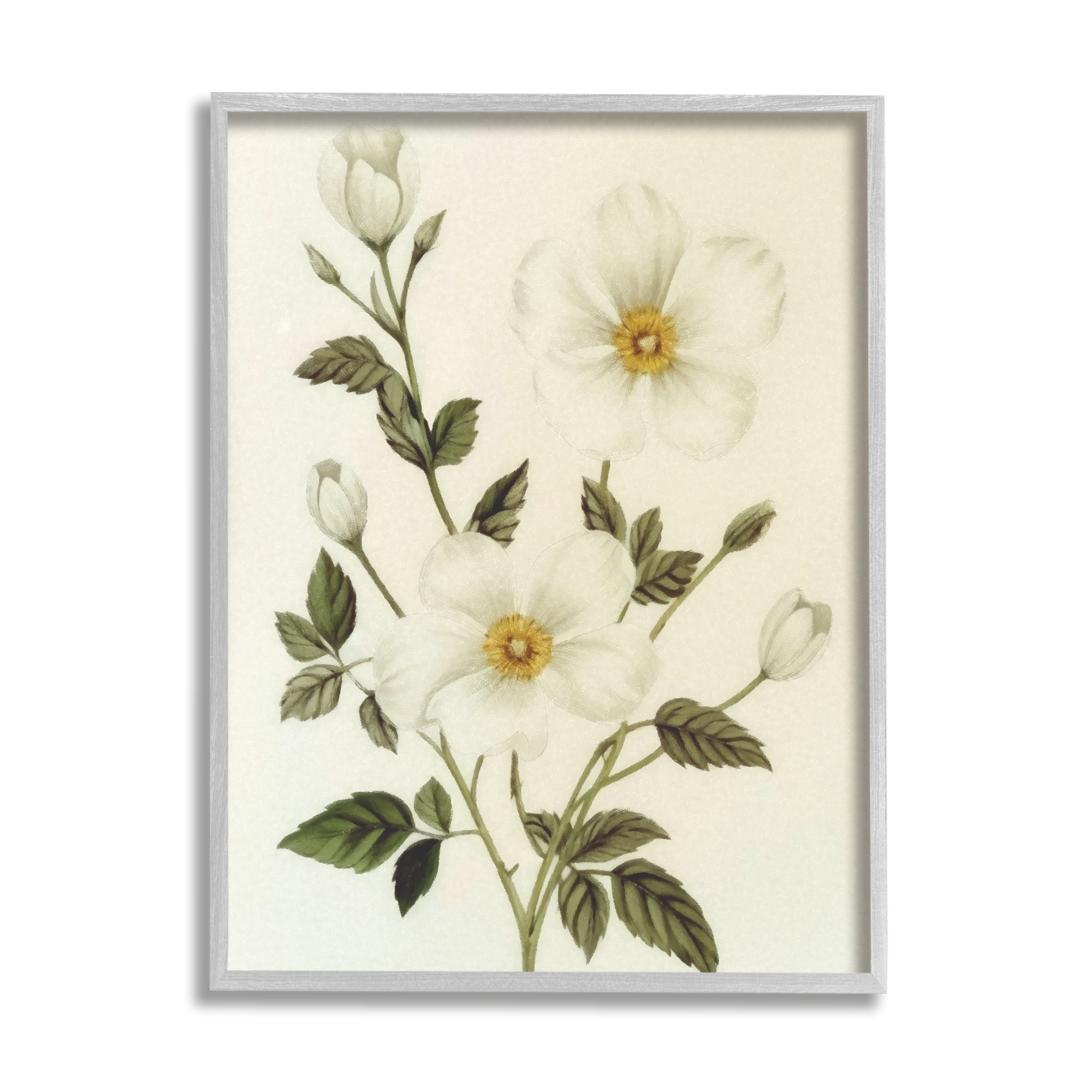 Stupell Vintage Apple Blossoms Framed Giclee Art Design by