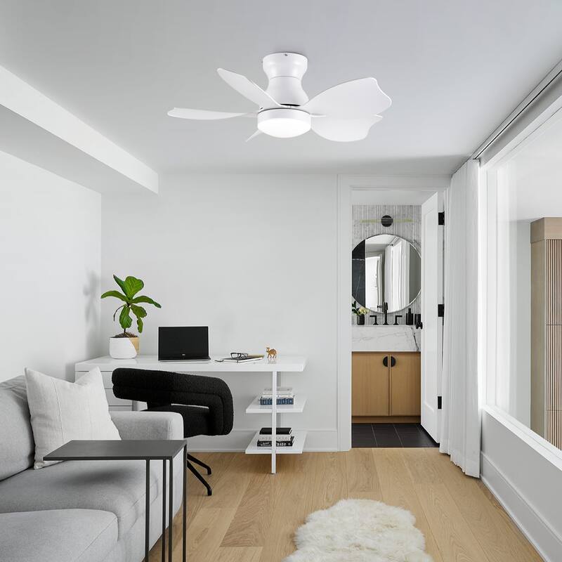 Modern Small Ceiling Fan Light with 3 Color Temperatures and 5 Blades, 6 Adjustable Wind Speeds for Bedroom and Living Room