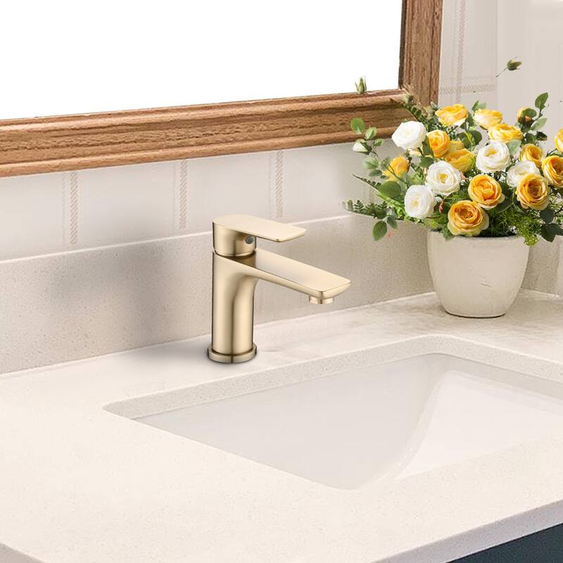 Topcraft Single Handle Stainless Steel Bathroom Sink Faucet