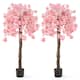 Option Pink-2 PCS