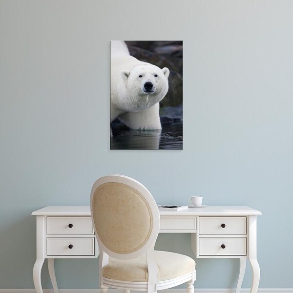 Easy Art Prints Paul Souders's 'Polar Bear' Premium Canvas Art