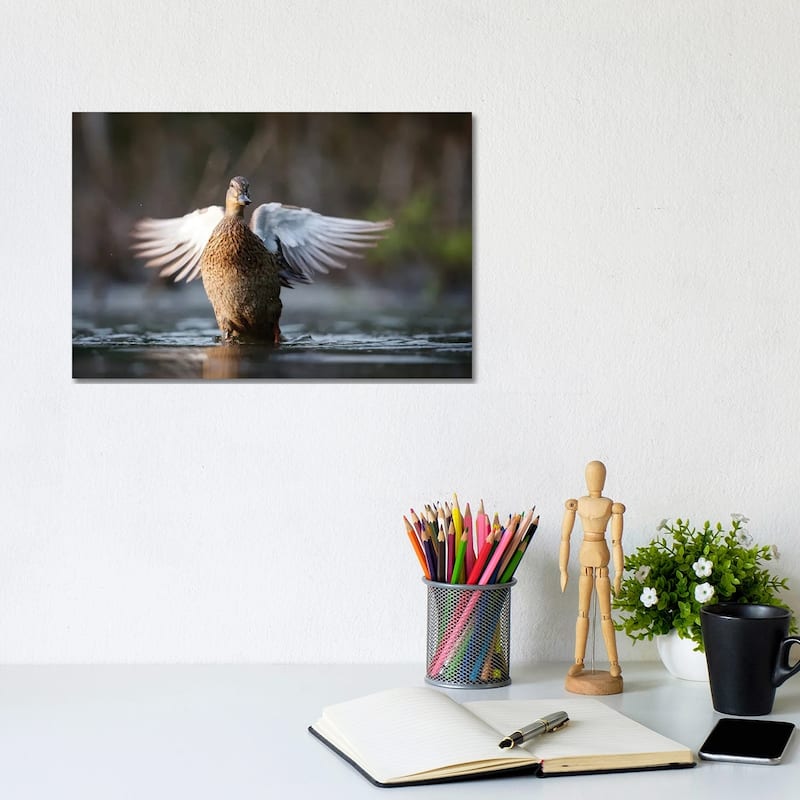 iCanvas "Mallard Duck" by Mateusz Piesiak Canvas Print - 8x12x0.75
